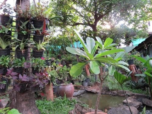 Naruncha Green House3