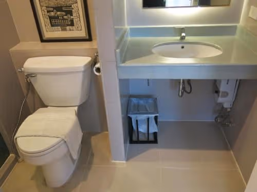 Deluxe Double or Twin Room with Bath Tub