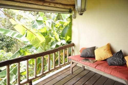 Jungle Lodge