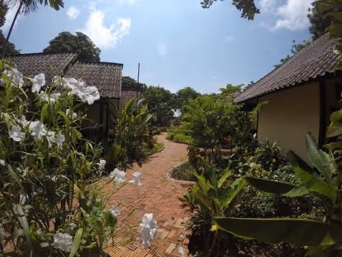 Deluxe Bungalow