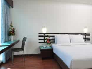 The Color Hotel The Color Hotel