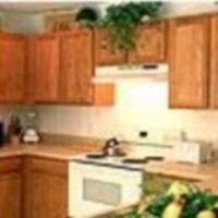 American Sunshine Disney Area Executive2