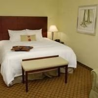 Hampton Inn Suites Orlandosouth Lake Buena Vista4
