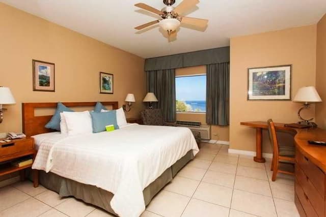 SINGLE EXECUTIVE KING BED