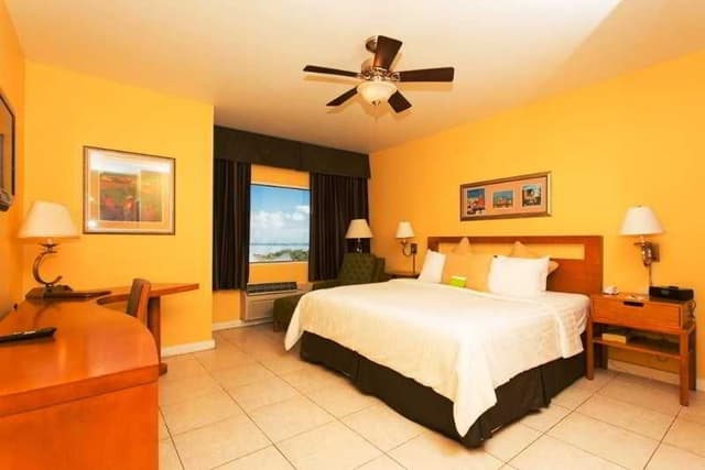 SINGLE EXECUTIVE KING BED