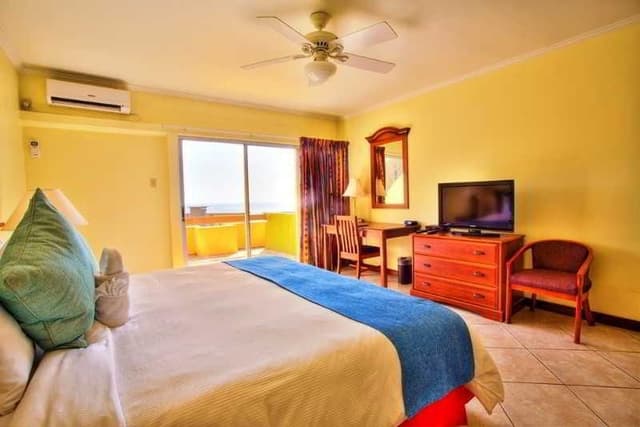 SINGLE EXECUTIVE KING BED