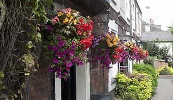 Bull's Head Hotel Bull's Head Hotel