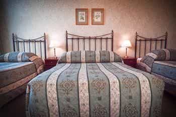 Adria House Adria House