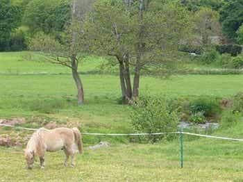 Mill Farm Mill Farm