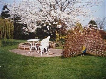 Lea Farm3