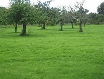 Wick House B&B