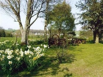 Thornley House - Guest house3