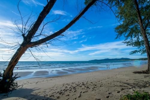 ไผ่ตาล วิลล่า (Pai Tan Villas)4