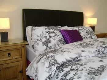 Mulberry Guest House Mulberry Guest House