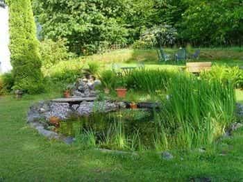 Beechwood B&B Beechwood B&B