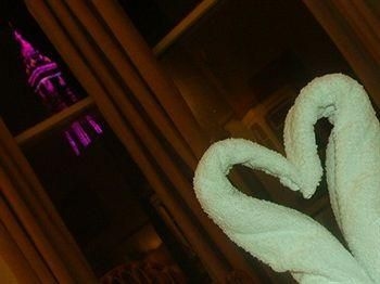 โรงแรมวิลสันส์ - แบล็คพูล ทาวเวอร์ วิว (Wilsons Hotel - Blackpool Tower View)2