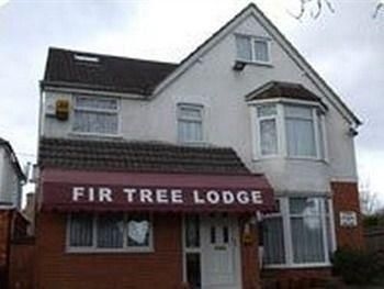 Fir Tree Lodge Hotel - Guest house2