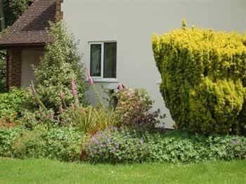 Bassets B&B Bassets B&B