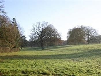Strete Ralegh Farm - B&B4