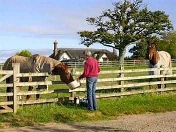 Strete Ralegh Farm - B&B Strete Ralegh Farm - B&B