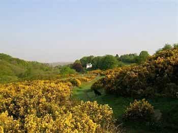 Lydgate House Hotel Lydgate House Hotel