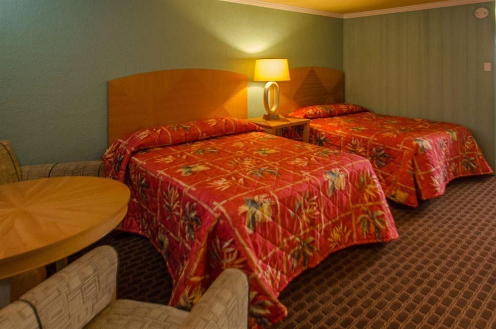 Dolphin Inn4