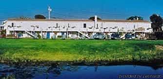 Sea Whale Motel