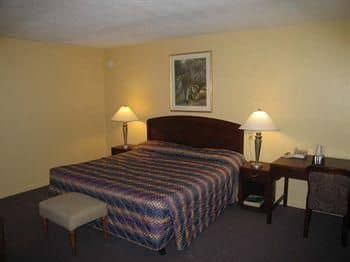 ECOM LODGE ECOM LODGE