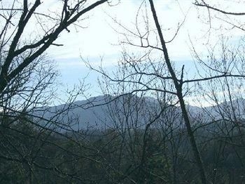 Mountain Shadows Resort1