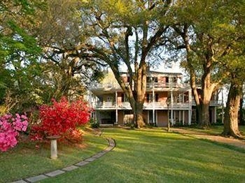 The Elms Bed and Breakfast3