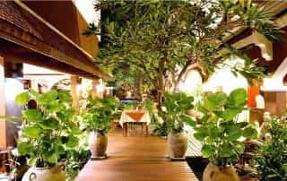 Patong Premier Resort Patong Premier Resort