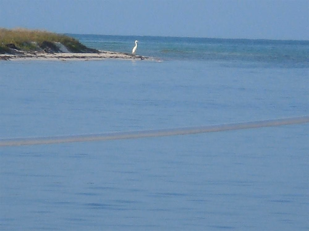Key West Sailing Adventures4
