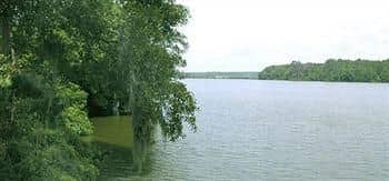 Lake Blackshear Resort & Golf Club Lake Blackshear Resort & Golf Club