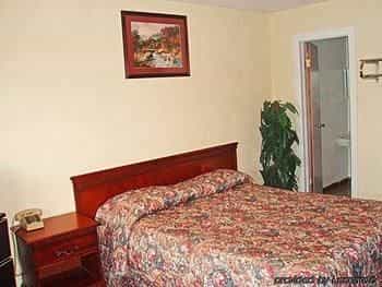 Star Motel