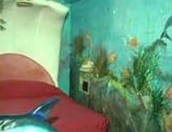 Econo Lodge Econo Lodge
