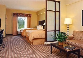 Comfort Suites West of The Ashley0