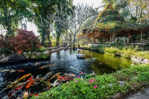 ภูใจใส เมาน์เท่น รีสอร์ต ภูใจใส เมาน์เท่น รีสอร์ต