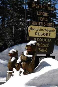Montecito Sequoia Lodge