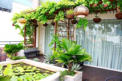 King Room with Garden View