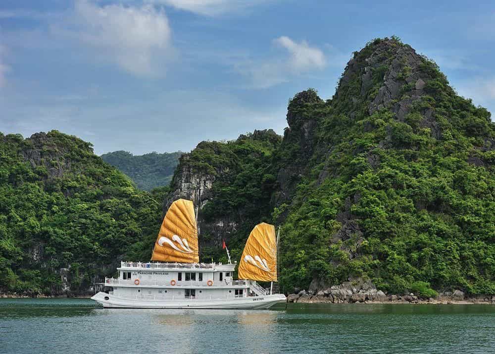 Paradise Privilege Cruise