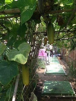 Muca Hoi An Boutique Resort3