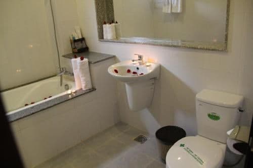 Double Room or Twin Room with Pool View