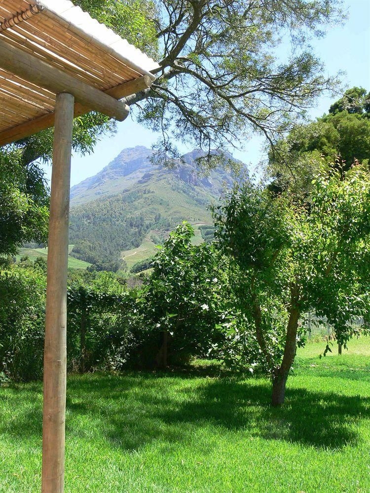 Orange-Ville Guesthouse2