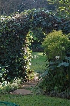 Osborne House - Guest House0