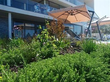 The Ocean View4