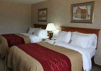 Comfort Inn Comfort Inn