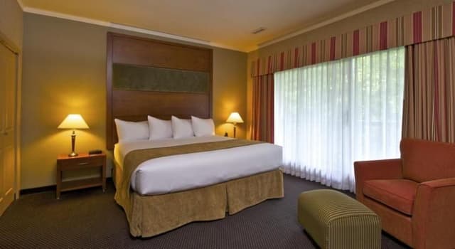 DOUBLE COMFORT
