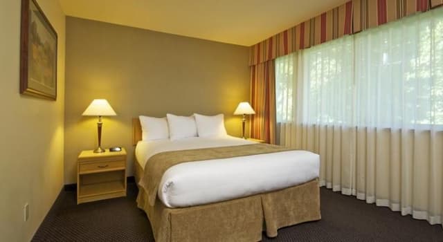 DOUBLE COMFORT
