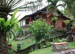 Kebun Villas Kebun Villas