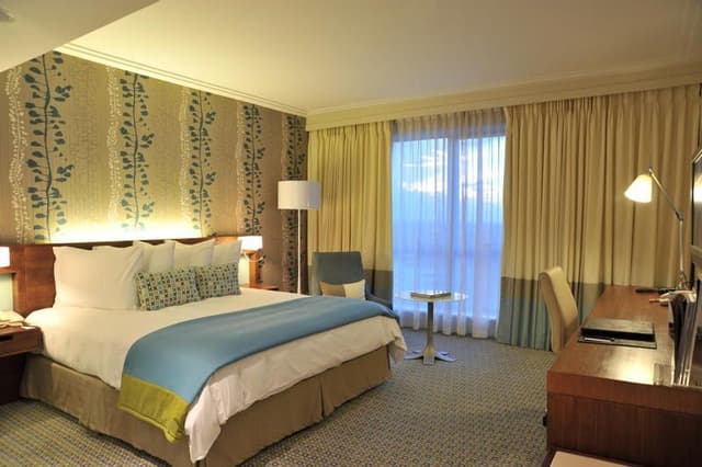 SUITE CAPACITY 2
